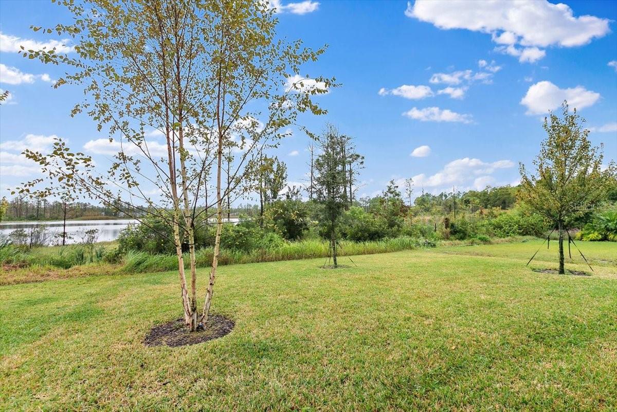 RETREAT/TOWN CENTER PH 1 - Residential