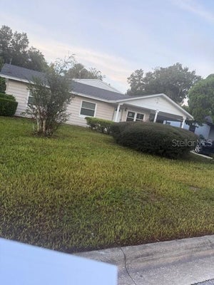 1805 JEFFERSON DR, MOUNT DORA, FL 32757 - Image ce1b7192c326524fba88ade2f2f90e93/3201405280