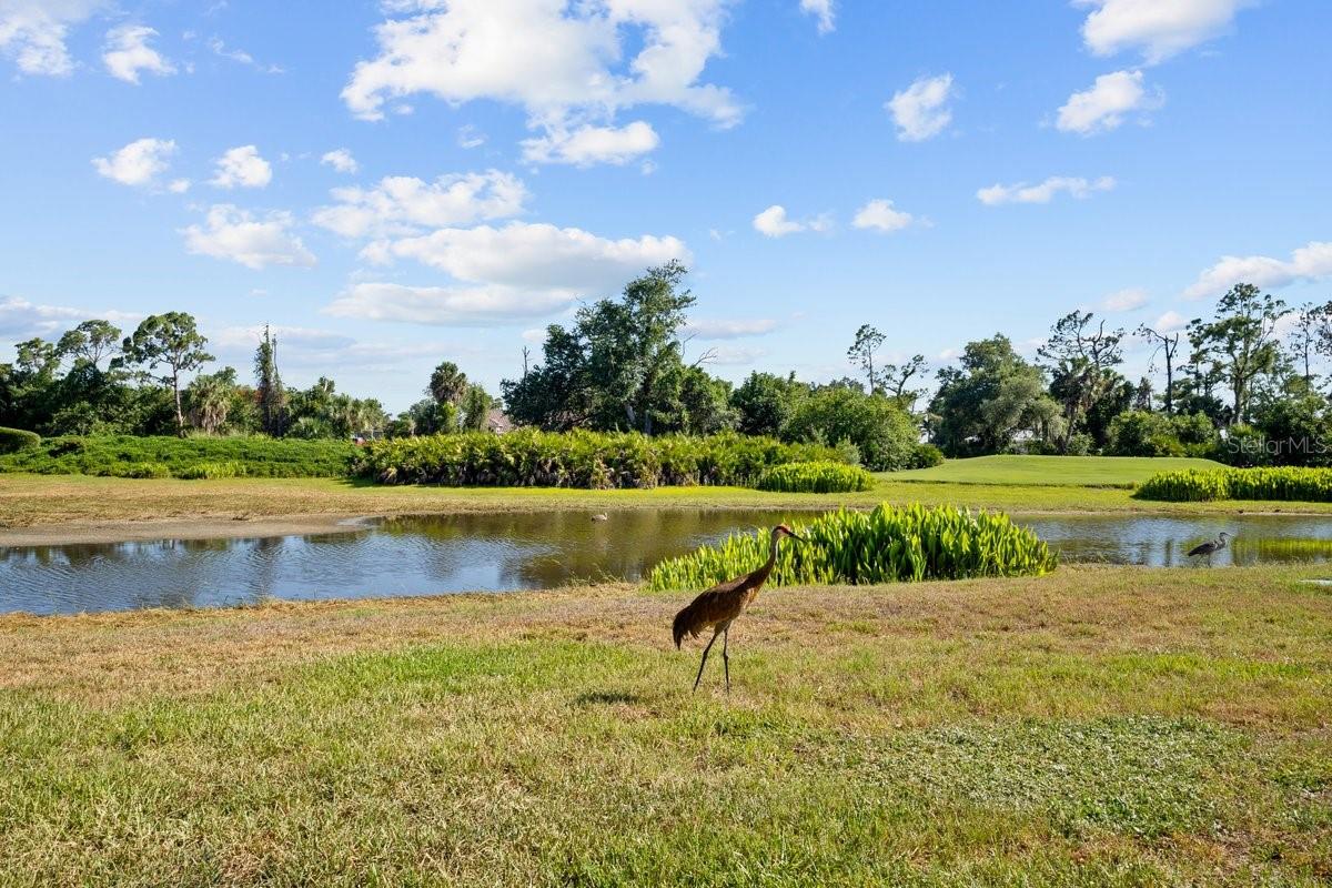 HERON CREEK - Residential