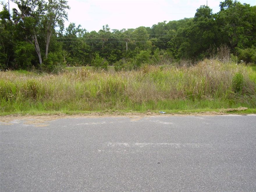 BUY THIS BEAUTIFUL 10,036 SQ. FT. LOT IN AN EXCELLENT LOCATION OF POINCIANA WITH A GREEENWAY IN THE REAR OF LOT AND BUILD YOUR DREAM HOME NOW OR WHENEVER YOU ARE READY. THERE IS PLENTY OF ROOM FOR A LARGE SIZE HOME WITH A PORCH, POOL AND STILL HAVE PLENTY OF ROOM FOR GARDENING. POINCIANA IS A COMUNITY LOCATED 50 MINUTES AWAY FROM ORLANDO INTERNATIONAL AIRPORT AND NEXT TO DISNEY'S ATTRACTIONS. SEA WORLD, UNIVERSAL STUDIOS AND ALL OTHER ATTRACTIONS CENTRAL FLORIDA IS FAMOUS FOR ARE ONLT MINUTES AWAY. ENJOY THE ATLANTIC OCEAN BEACHES LIKE DAYTONA BEACH, COCOA BEACH, MELBOURNE BEACH, NEW SMYRNA BEACH, ETC. OR IF YOU PREFER THE GULF OF MEXICO BEACHES LIKE ST. PETE'S BEACH, CLEARWATER BEACH, ANAMARIA ISLAND, REDINGTON BEACH, SARASOTA BEACH, ETC. POINCIANA HAS ITS OWN SCHOOLS, VALENCIA COMMUNITY COLLEGE. POINCIANA HAS PARKS, DOG PARKS, PLAYGROUNDS, BASKETBALL COURTS, GOLF, BASEBALL, TENIS, SOFTBALL, FOOTBALL, SOCCER, RACKETBALL, FISHING, SWIMMING POOLS, SHUFFLEBOARD, FITNESS TRAILS, ETC. THERE ARE SHOPPING CENTERS, SUPERMARKETS, DRUGSTORES, LIBRARY, HOSPITALS, MEDICAL OFFICES AND ALL SUPPORTING MEDICAL SERVICES. YOU CAN BE AS ACTIVE AS YOU WANT, OR JUST RELAX, POINCIANA HAS IT ALL FOR EVERYONE. COME, BUY THIS LOT AND BUILD YOUR HOME NOW OR WHENEVER YOU ARE READY. GIVE US A CALL AND WE WILL BE GLAD TO SHOW IT TO YOU AND ANSWER ANY QUESTIONS YOU MAY HAVE.