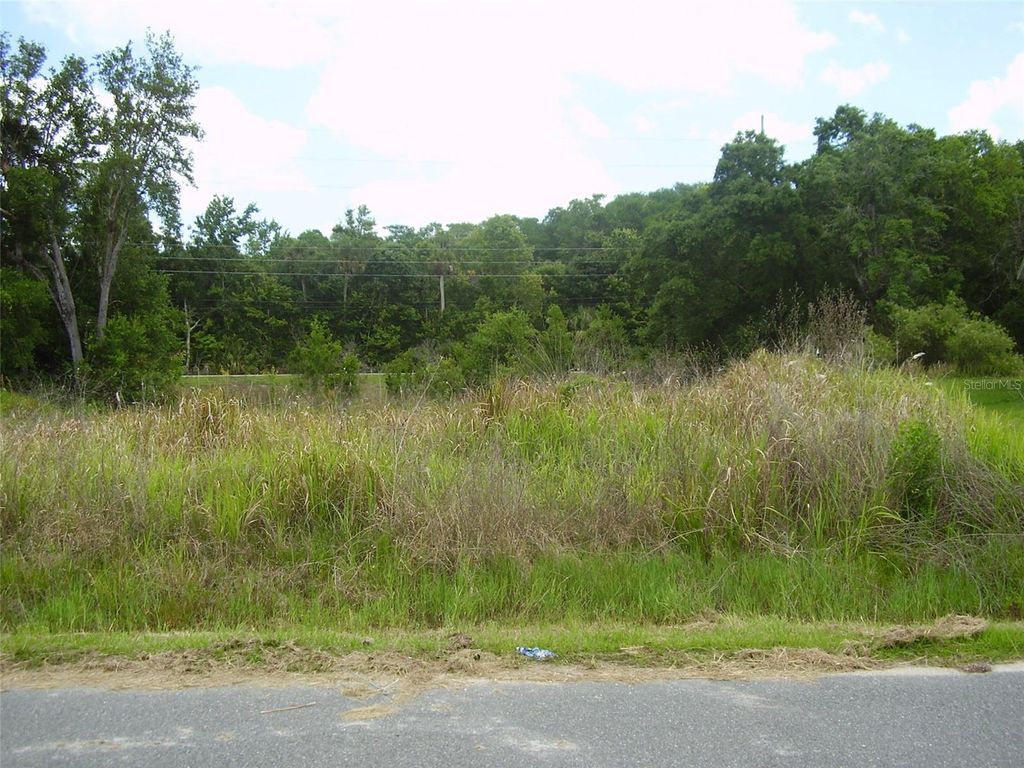 Photo of 1409 Teal Drive, Kissimmee, FL 34759 (MLS # R4911136)