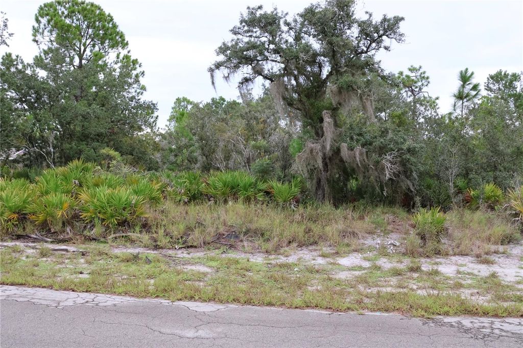 Photo of 3335 Gerber Avenue, Lake Placid, FL 33852 (MLS # C7514105)