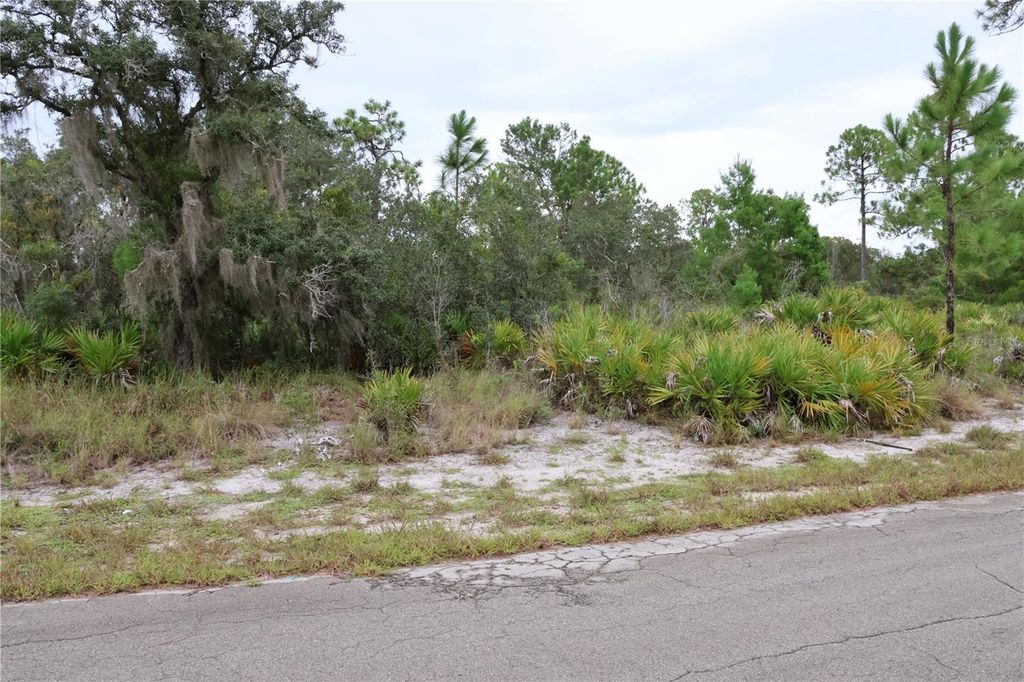 Photo of 3335 Gerber Avenue, Lake Placid, FL 33852 (MLS # C7514105)