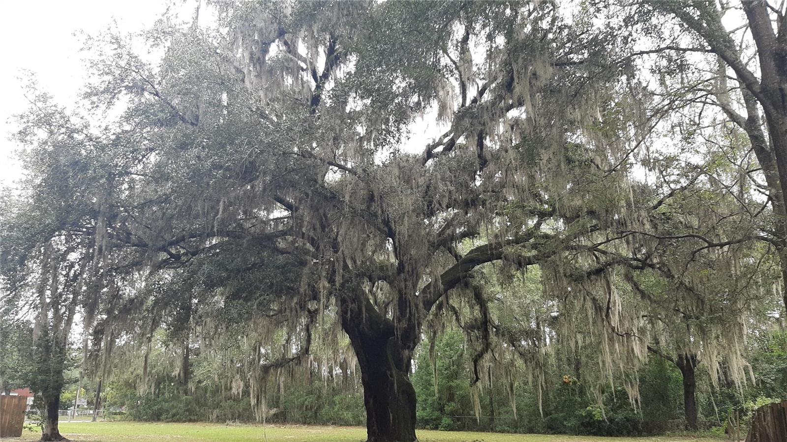 N/A - Residential Lease