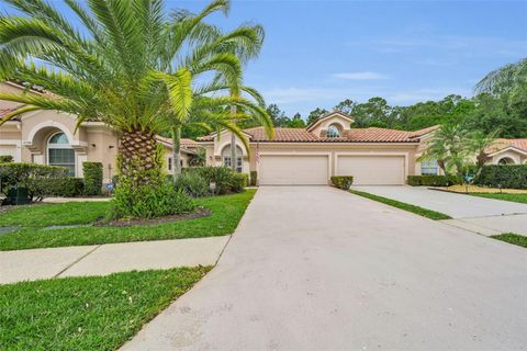 Photo of 3802 Darston Street, Palm Harbor, FL 34685 (MLS # TB8495348)