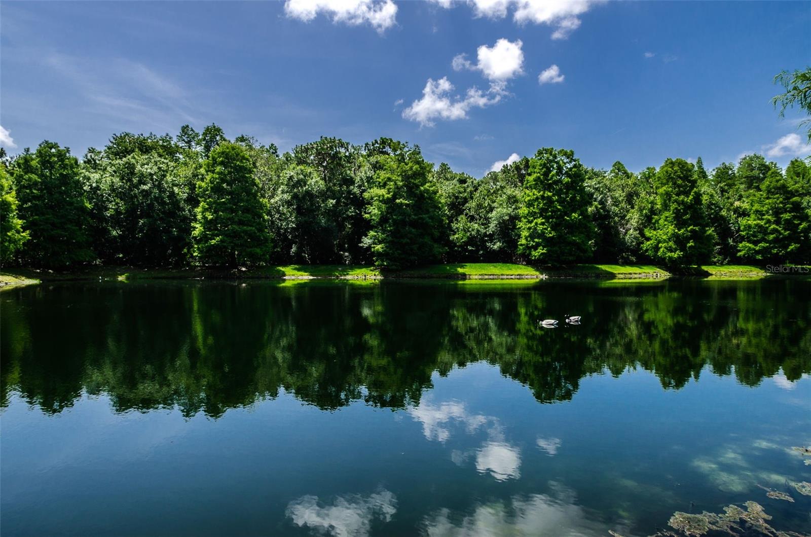 SALEM SQUARE - Residential