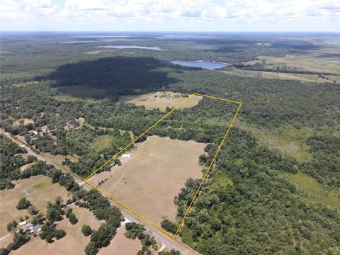 Photo of 11804 SE County Road 234, Micanopy, FL 32667 (MLS # GC539587)