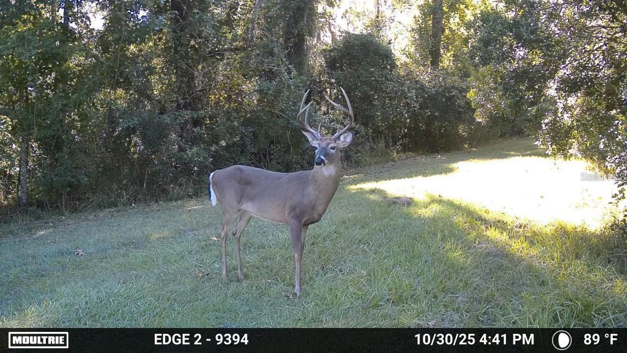 11804 SE COUNTY ROAD 234