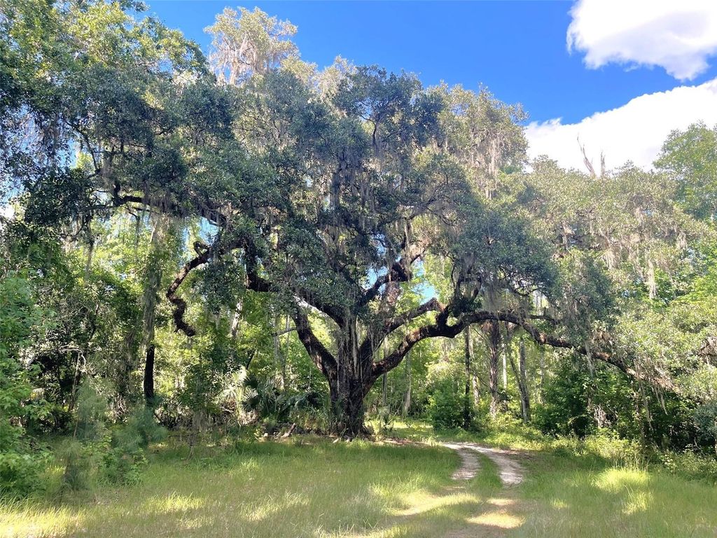 Photo of 11804 SE County Road 234, Micanopy, FL 32667 (MLS # GC539587)