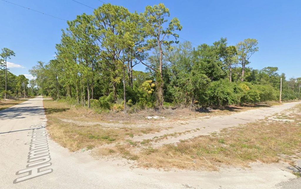 Photo of 1001 Hummingbird Street, Lake Placid, FL 33852 (MLS # OK225784)