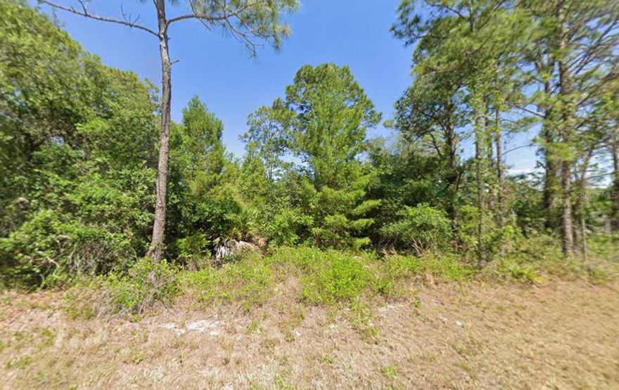 Located in the desirable Leisure Lakes community, this 0.27-acre corner lot on paved roads offers an excellent opportunity to build your future home or invest in a growing area of Lake Placid. The property is just minutes from Lake June, one of the area’s most popular recreational lakes—perfect for boating, fishing, and water sports. Leisure Lakes provides convenient access to nearby parks, golf, and the charming downtown district known for its murals and outdoor activities. Corner lots also offer added flexibility for driveway placement and home design, making this an excellent choice for visibility and convenience. Whether you're planning to build now or invest for the future, this property delivers strong value in a well-loved area close to Lake June.