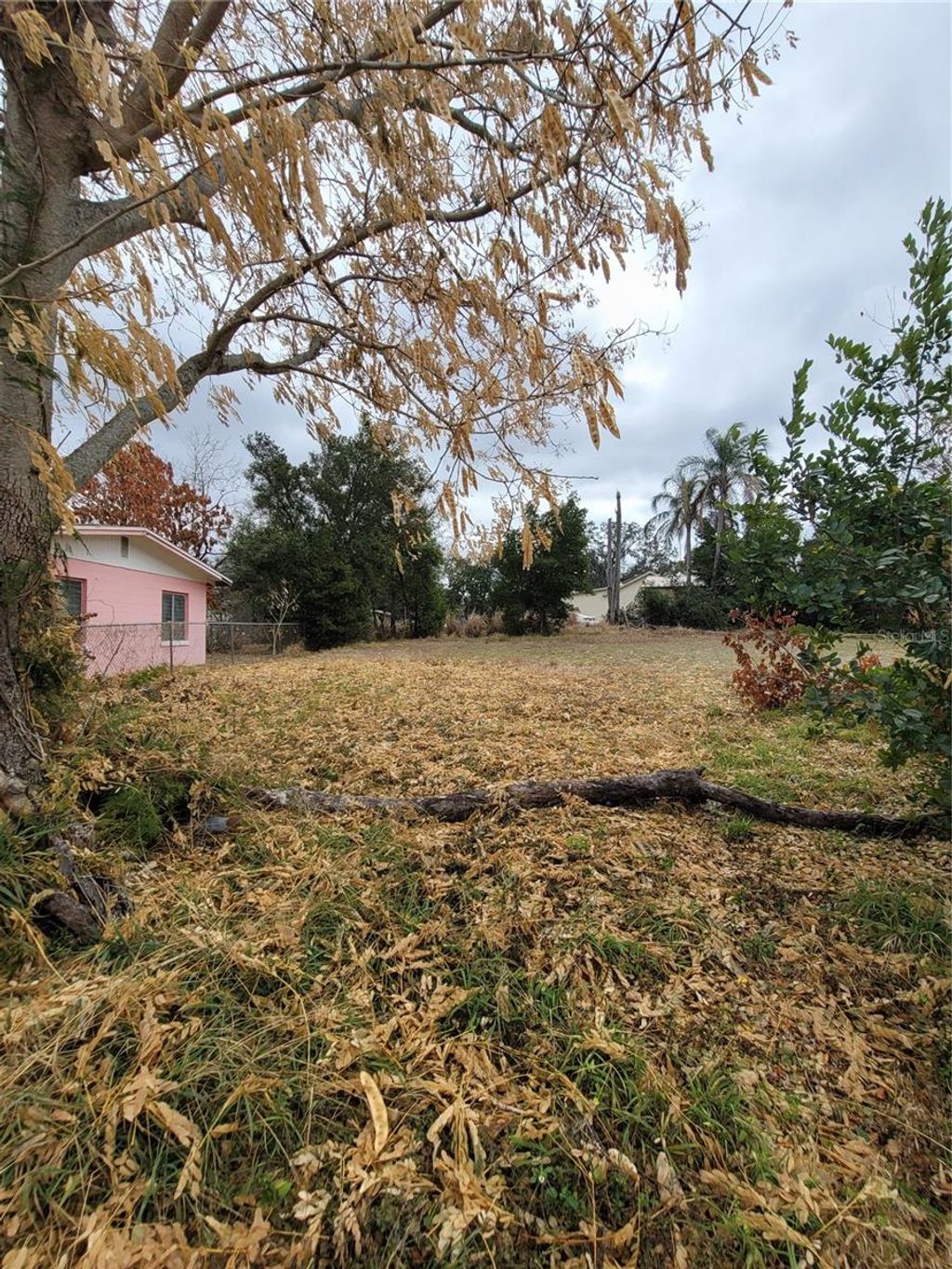 Photo of 6th Street N, Haines City, FL 33844 (MLS # O6381931)