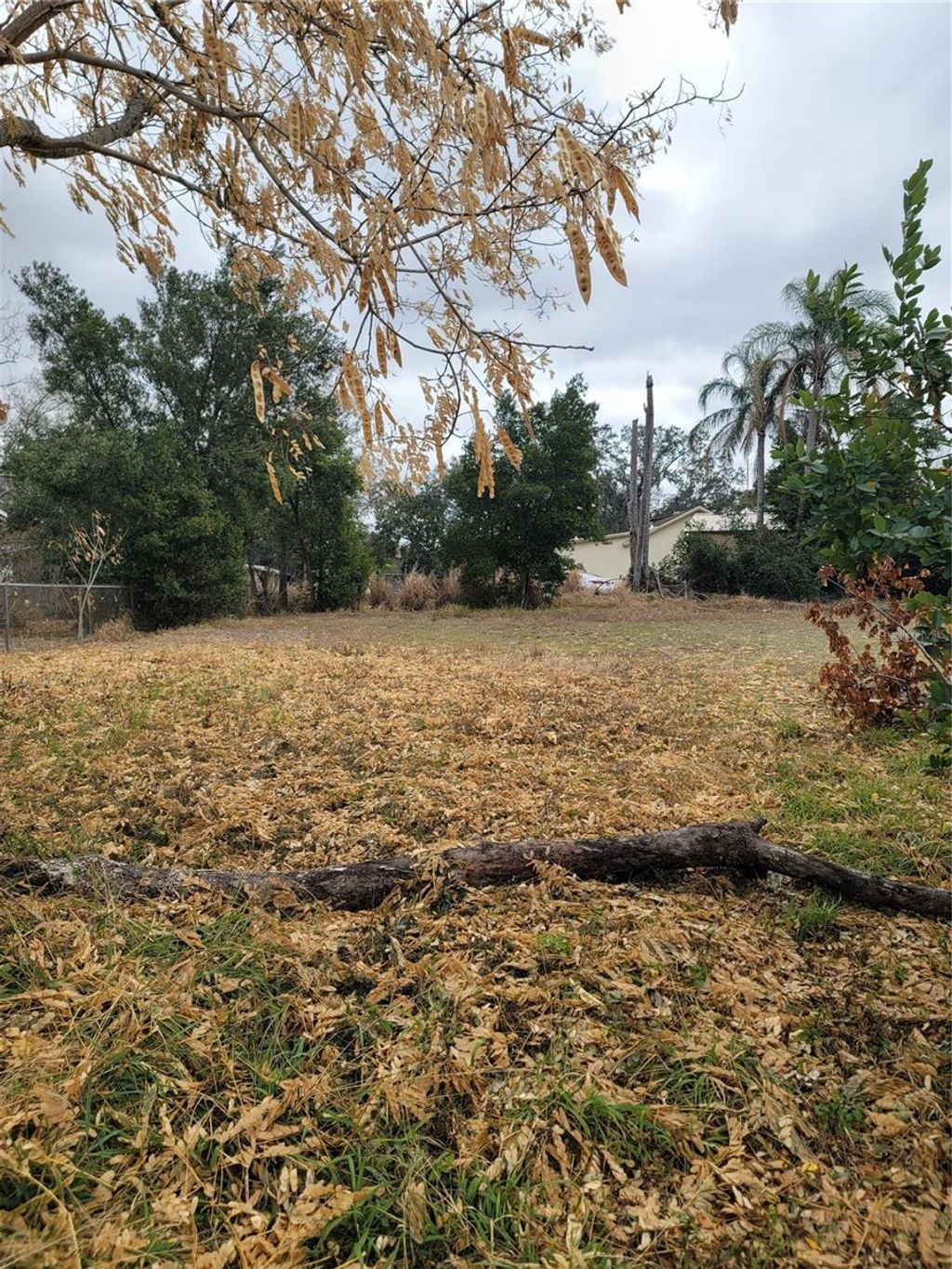 Photo of 6th Street N, Haines City, FL 33844 (MLS # O6381931)