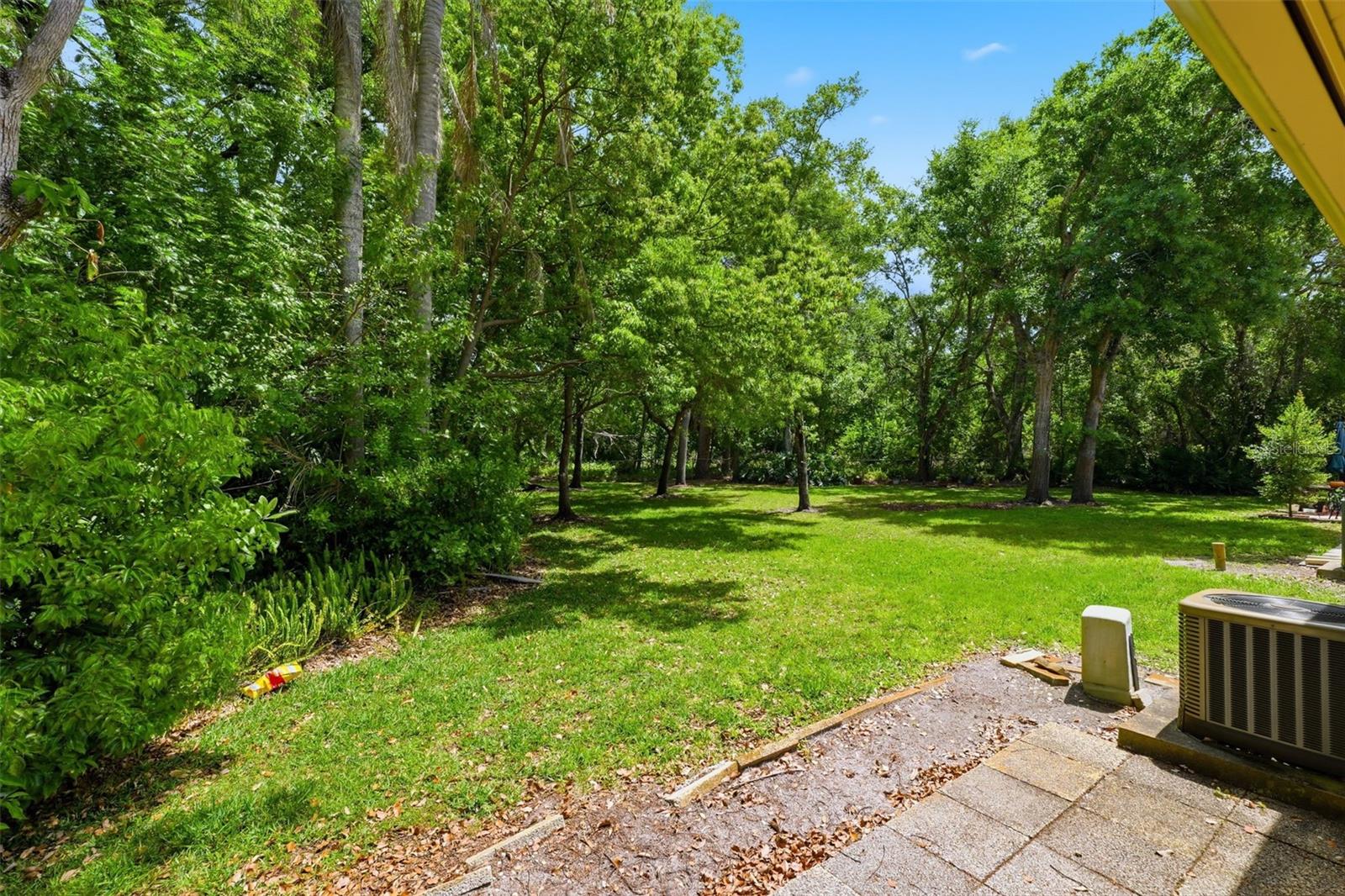 BRIAR PATCH - Residential