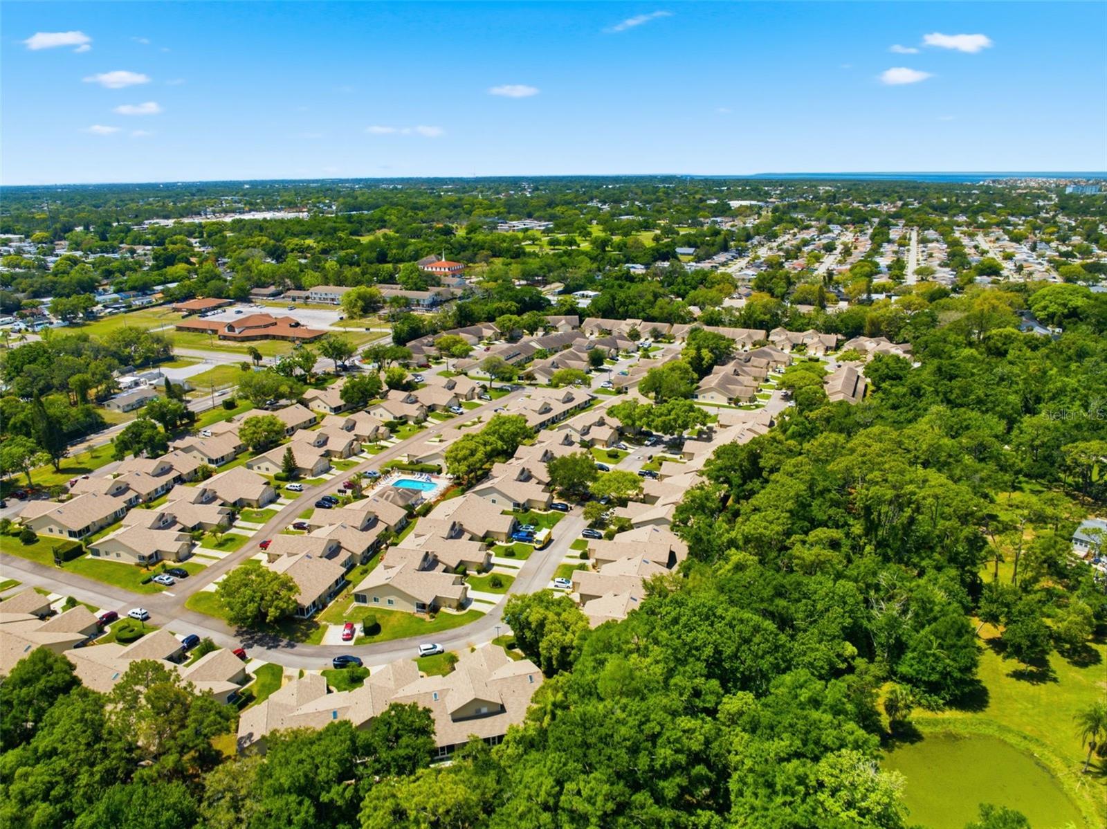 BRIAR PATCH - Residential