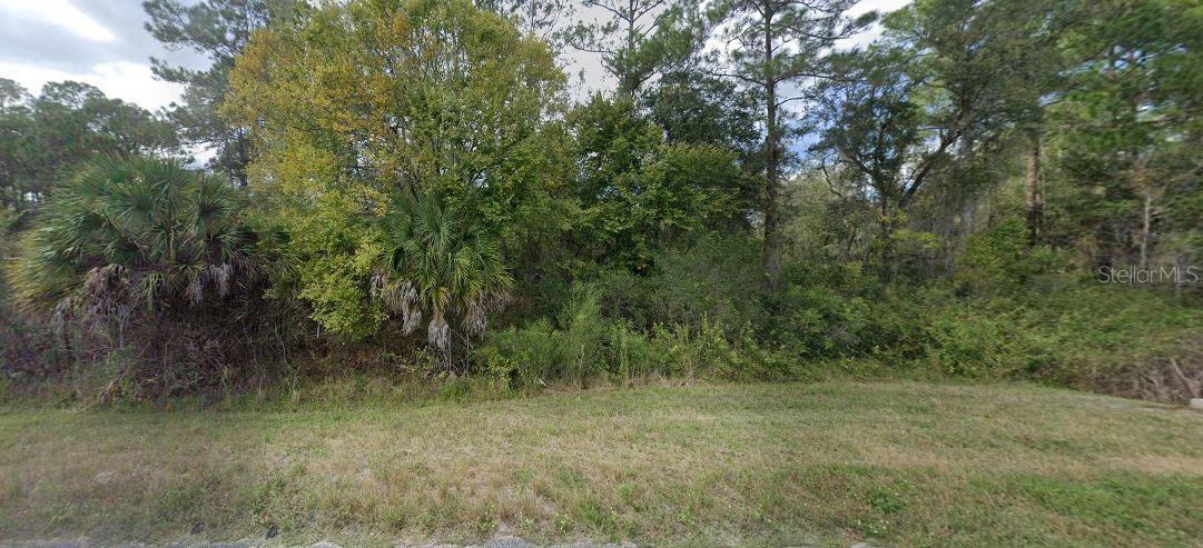 RIDGE MANOR ESTATE - Land