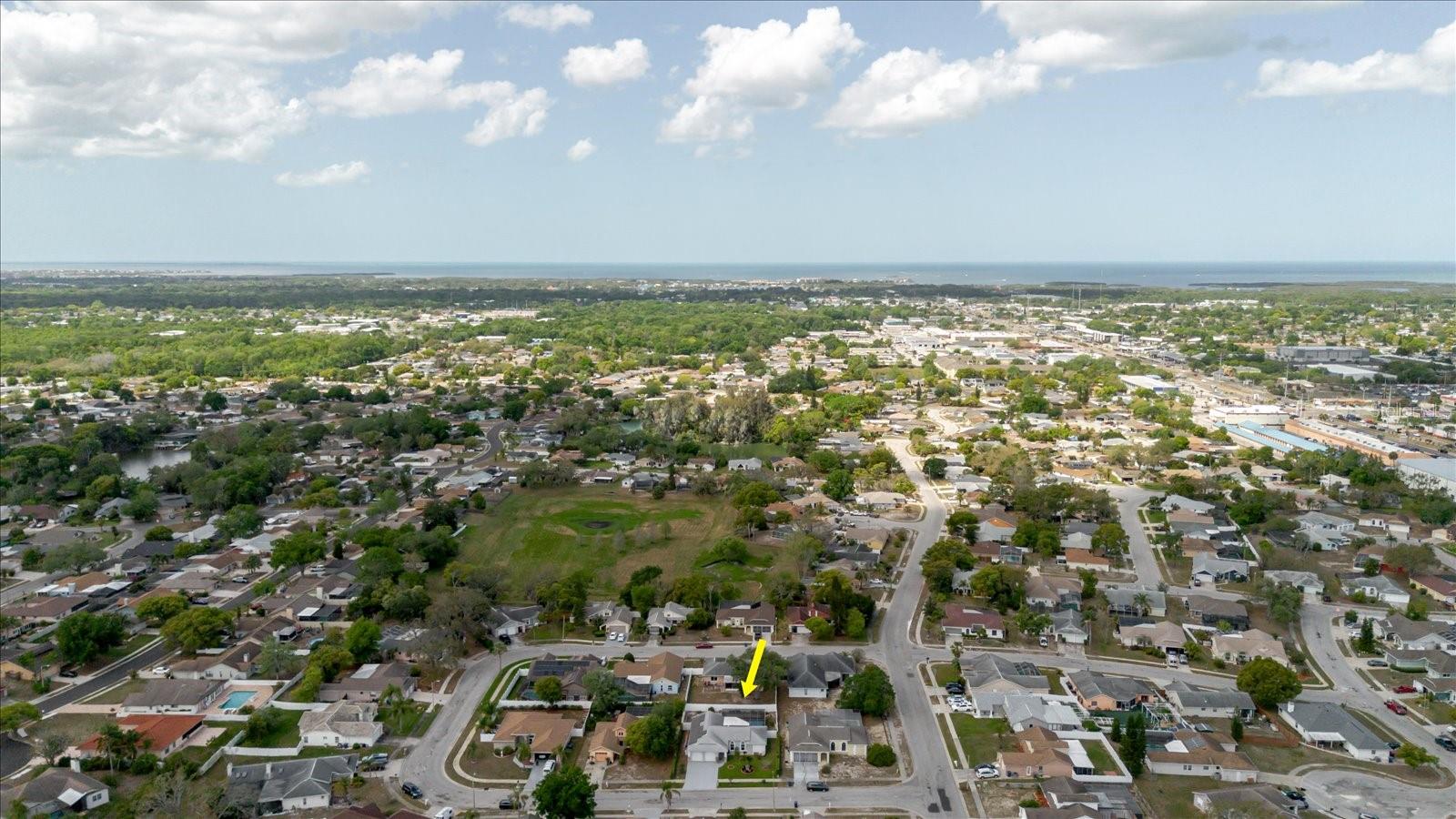 ORCHID LAKE VILLAGE - Residential