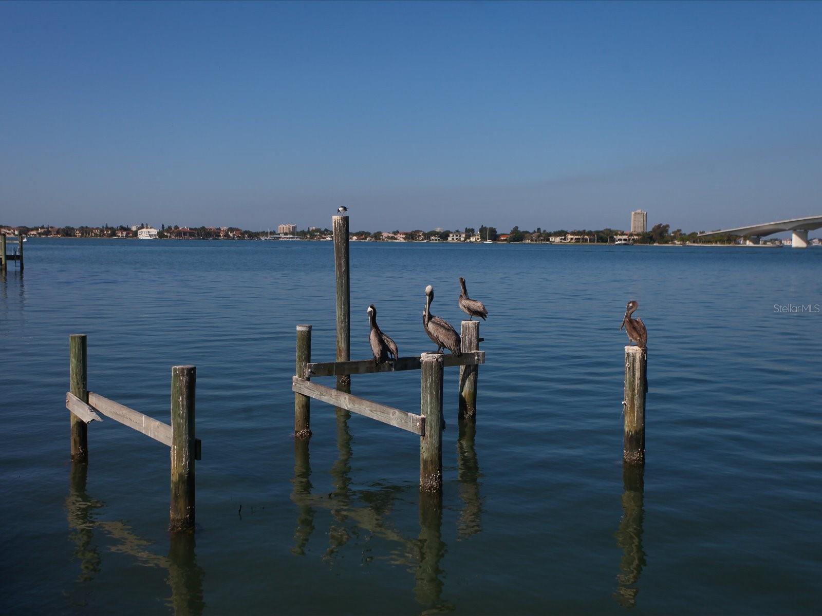 HARBOR HOUSE WEST - Residential Lease
