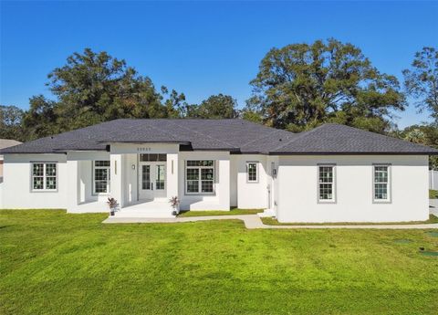 A home in LAND O LAKES