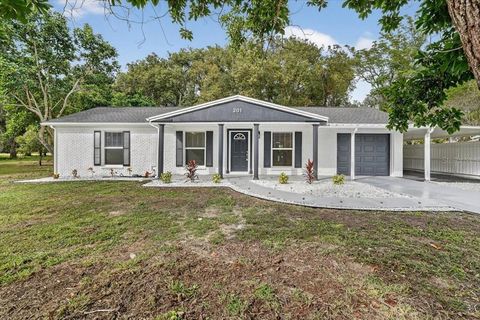 Photo of 201 S Mare Avenue, Howey In The Hills, FL 34737 (MLS # TB8447722)