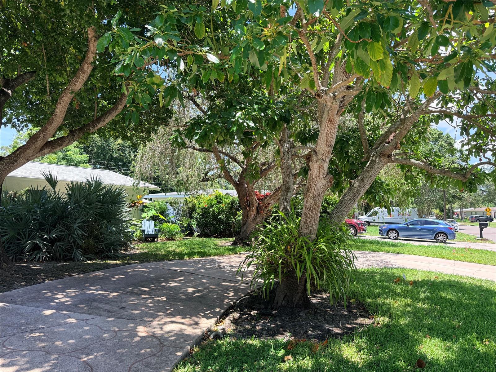1479 S EVERGREEN AVENUE