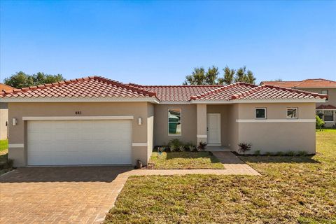 Photo of 441 Caraway Drive, Kissimmee, FL 34759 (MLS # O6312012)