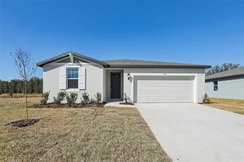 Photo of 7177 Ray Creek Drive, Brooksville, FL 34601 (MLS # O6358480)