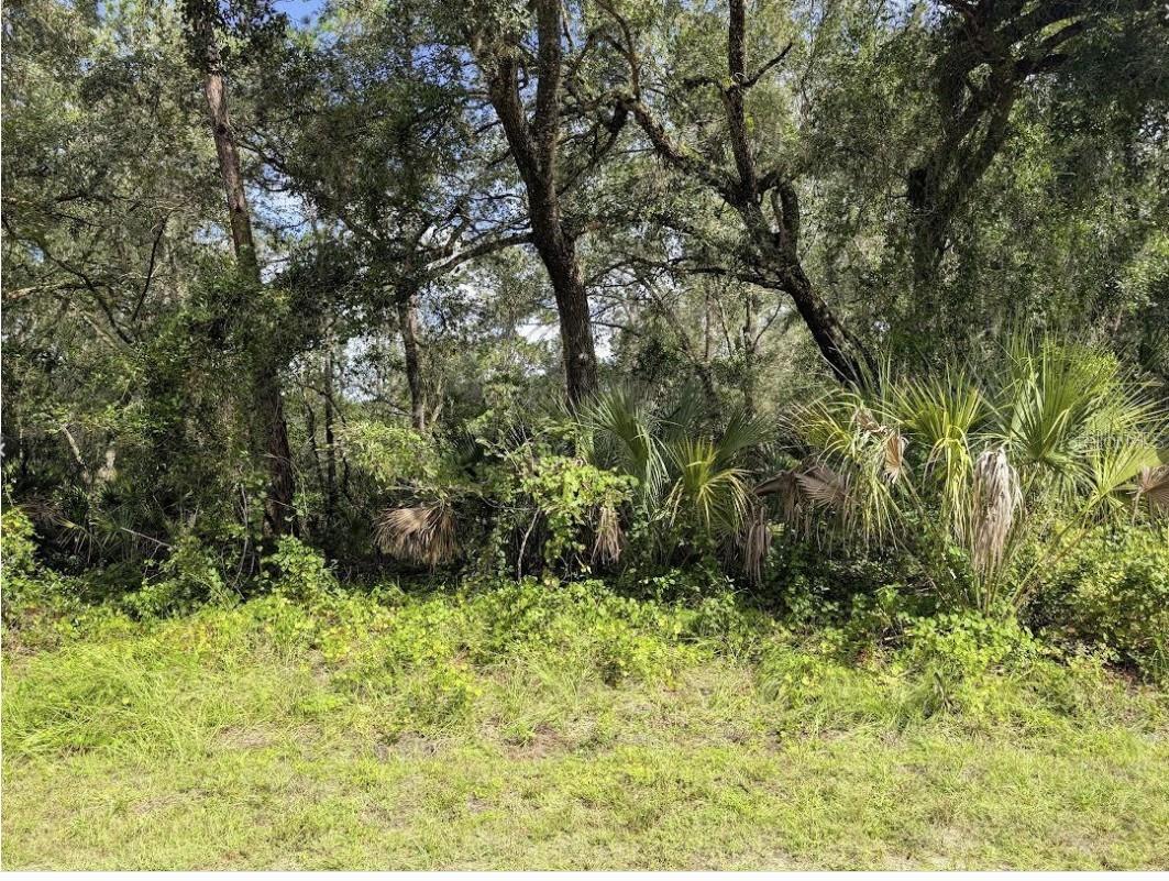 INDIAN LAKE ESTATES - Land