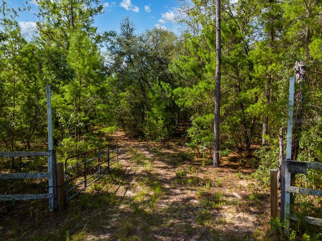 If you’ve been searching for a piece of land that gives you options, this 5.5-acre property located at 6474 Golden Oak Lane in Keystone Heights is the one to look at. Fully fenced all the way around with a gated entrance, this land is private, secure, and wide open to a lot of different uses. Whether you’re looking for a quiet place to build a home, set up a hunting camp, or start a small homestead where you can grow your own food and raise livestock, this property checks all the boxes. It’s the kind of land that’s ready to be turned into whatever fits your life. If you’re thinking about a homestead, there’s more than enough space to plant gardens, keep chickens or goats, and live off the land. The fencing is already in place, which is a big help if you plan on keeping animals. If your plan is more about getting away and having a place to escape the noise and relax, this land makes a great hunting property or camp. The area is peaceful and filled with wildlife, and the privacy offered by the fencing and gated access means you can enjoy the outdoors without worrying about being disturbed. You can park an RV, set up a camp, or bring in a mobile home and have it ready to go without a lot of extra work. That’s the nice part about having the perimeter already fenced and a gate installed — a lot of the hard work is done. If you’re just looking for land to build a home and spread out, you’ll love the way this property feels. It’s quiet, open, and gives you plenty of room to do things your way without dealing with a bunch of rules or restrictions. There’s no HOA and no deed restrictions here, so you’re free to use the land how you want. Whether that’s setting up a workshop, parking your boat or toys, or just having space between you and the next neighbor, you’ve got the freedom to do what fits you. The land has a good mix of open area and tree coverage, so you get that country feel while still being just a short drive to town when you need groceries, supplies, or a bite to eat. It’s the kind of place that feels like a getaway but is still close enough to what you need. Properties like this don’t come around too often — fenced, gated, private, and usable for a bunch of different things. Whether you're thinking long-term homestead, weekend hunting retreat, or just want a solid piece of land to make your own, this one gives you all those choices. Come take a walk around and picture what you can do here — the potential is wide open, and it’s ready for someone to make it their own.
