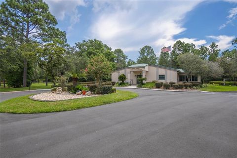 Tiny photo for 5932 N Flagstaff Avenue, Beverly Hills, FL 34465 (MLS # OM724273)