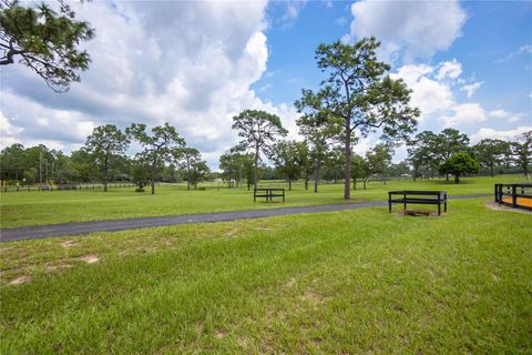 Tiny photo for 5932 N Flagstaff Avenue, Beverly Hills, FL 34465 (MLS # OM724273)