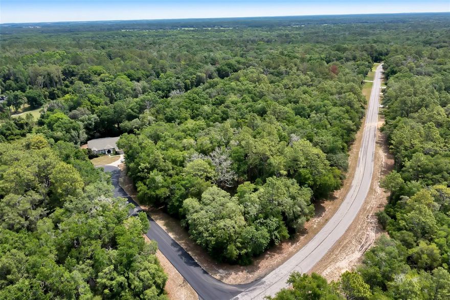 Corner lot 1/2 acre. Partially cleared.