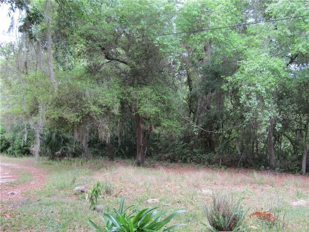 Photo of 3031 Register Road, Fruitland Park, FL 34731 (MLS # O6367928)