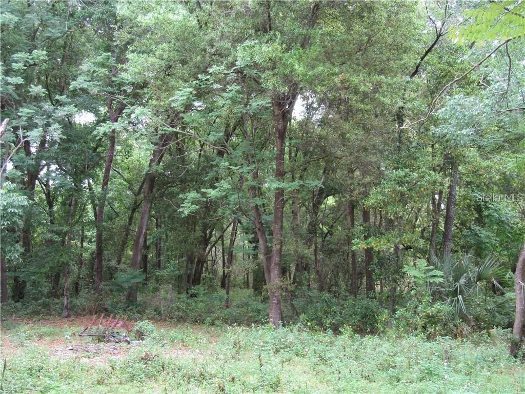 Photo of 3031 Register Road, Fruitland Park, FL 34731 (MLS # O6367928)