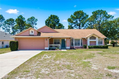 Photo of 3297 Amherst Avenue, Spring Hill, FL 34609 (MLS # TB8498946)