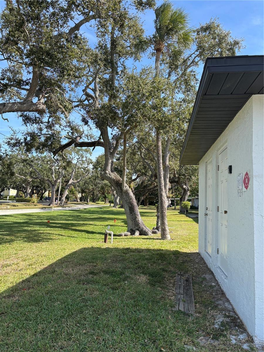 MAXIMO WOODS UNIT ONE - Residential Lease