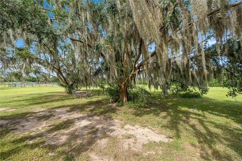 Tiny photo for 13939 N Us Highway 441 #(RED BARN ), Citra, FL 32113 (MLS # OM731974)