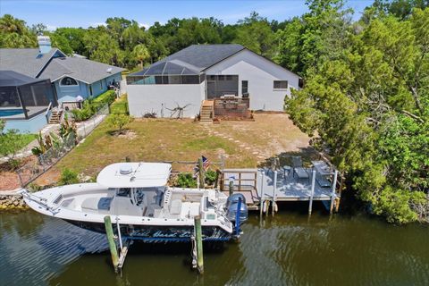 Tiny photo for 11870 W Waterway Drive, Homosassa, FL 34448 (MLS # TB8503376)