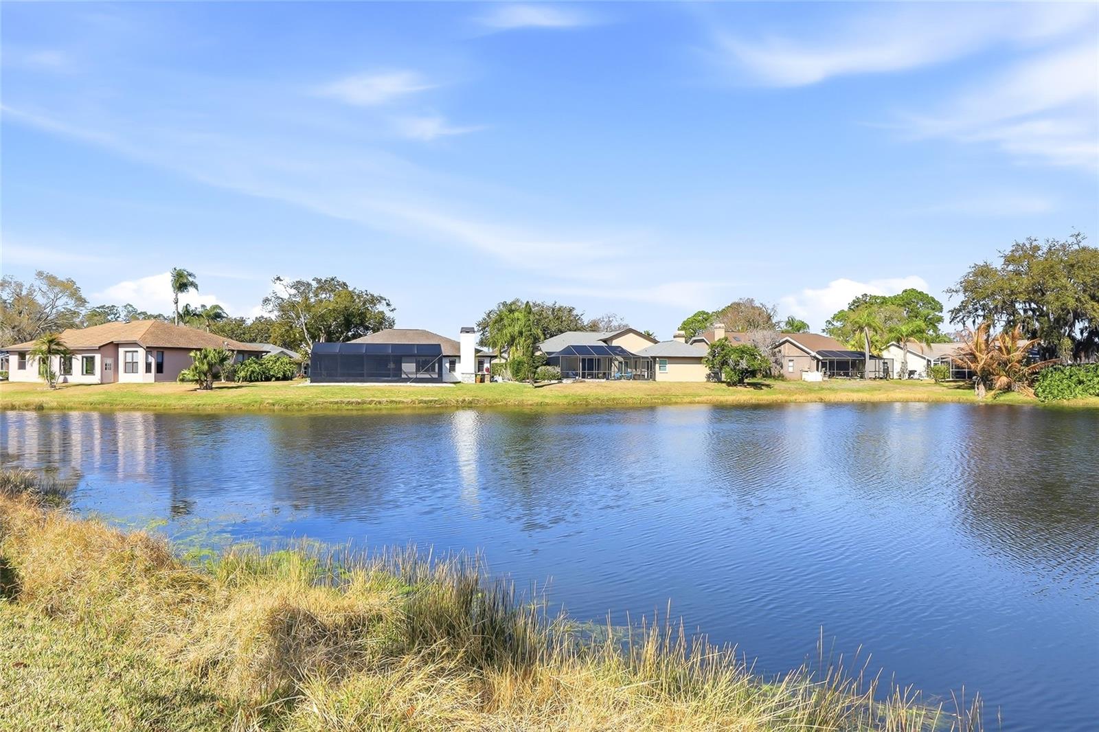 SHADOWLAKE VILLAGE AT WOODFIELD - Residential