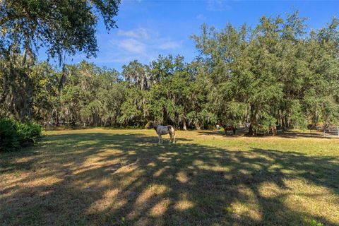 Tiny photo for Okahumpka, FL 34762 (MLS # G5106780)
