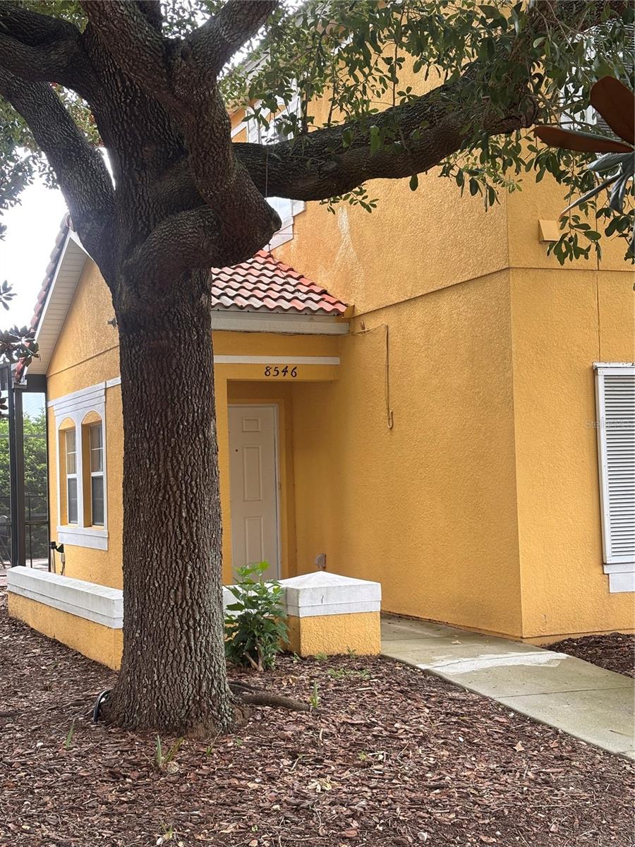 8546 BAY LILLY LOOP