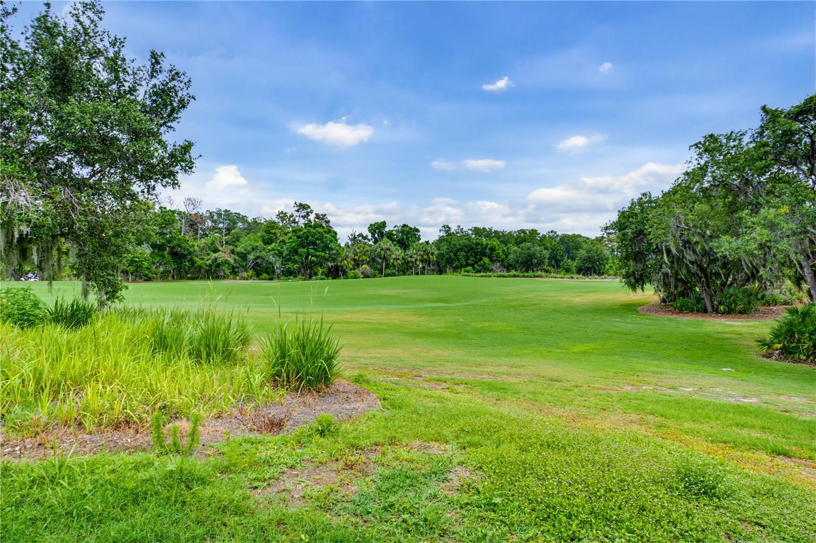 BACCIANO IV AT ESPLANADE LAKEWOOD RANCH - Residential