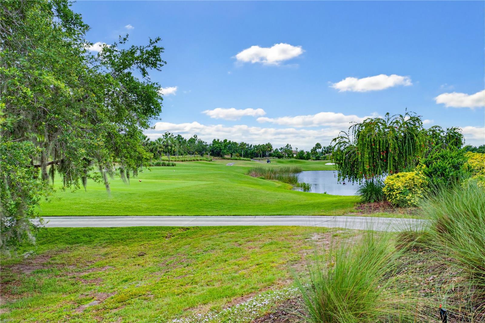 BACCIANO IV AT ESPLANADE LAKEWOOD RANCH - Residential