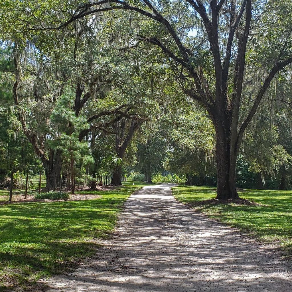 Photo of NW 115th Avenue, Reddick, FL 32686 (MLS # OM715432)