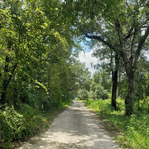 Tiny photo for NW 115th Avenue, Reddick, FL 32686 (MLS # OM715432)
