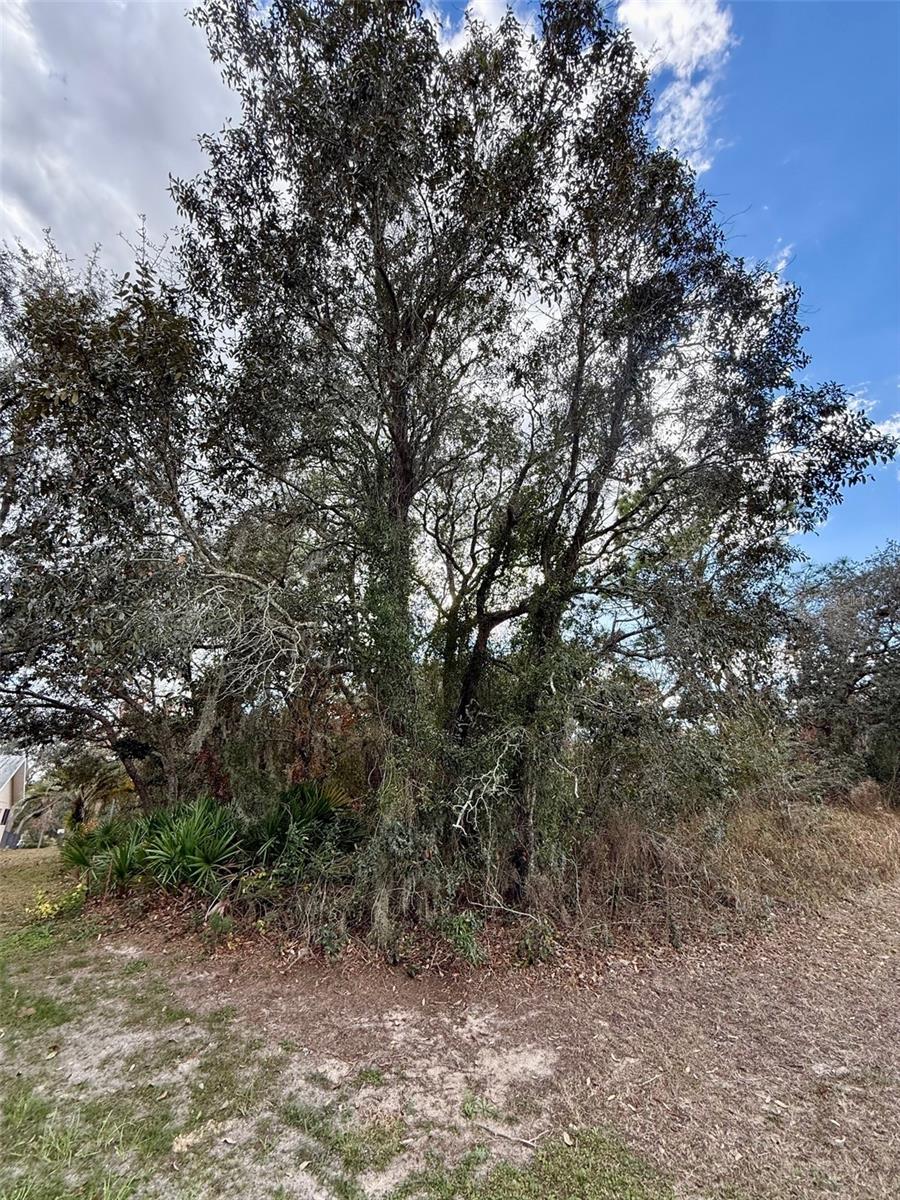 ROYAL HIGHLANDS - Land