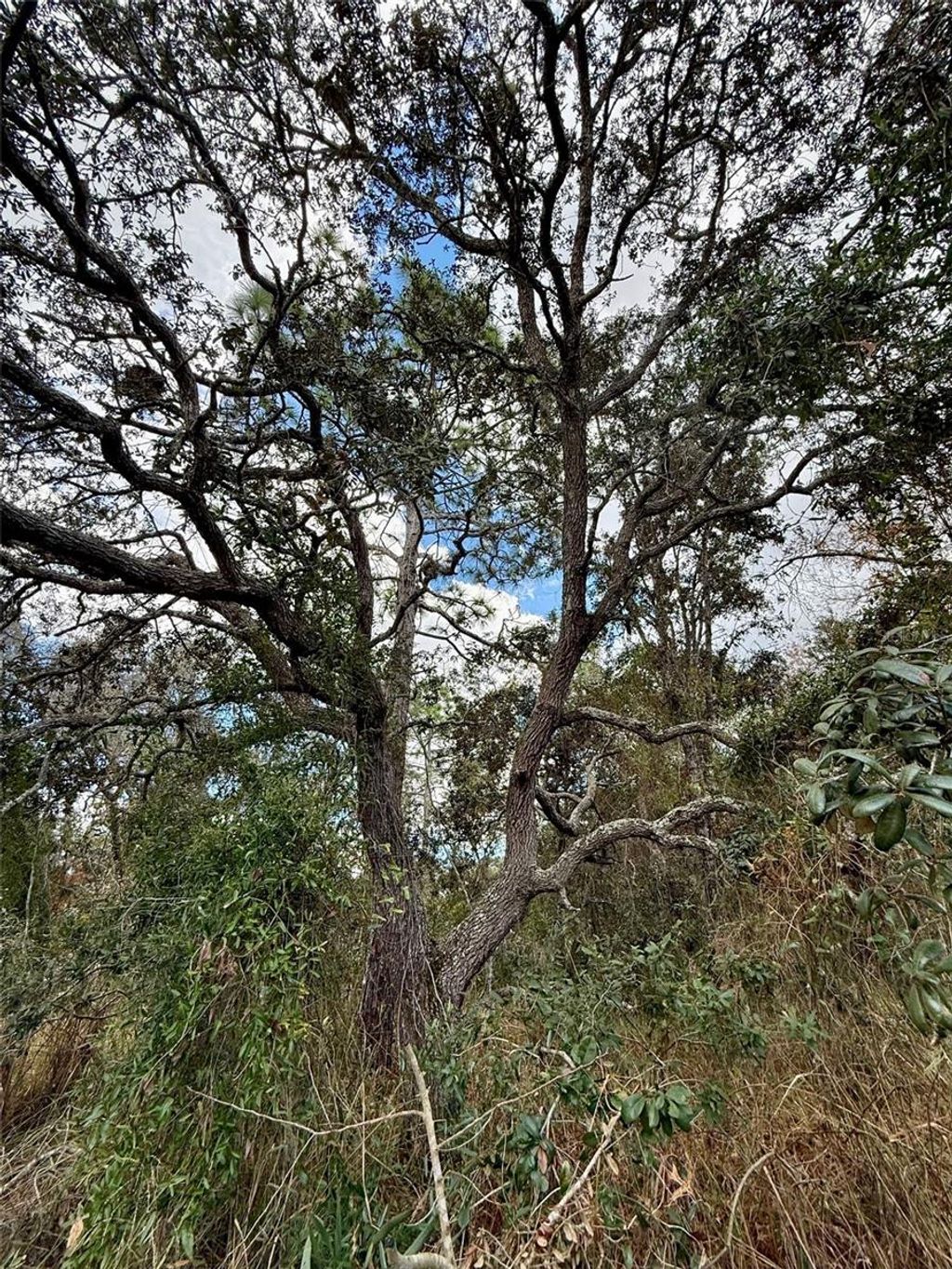 Photo of 0 Centralia Road, Weeki Wachee, FL 34614 (MLS # W7881858)