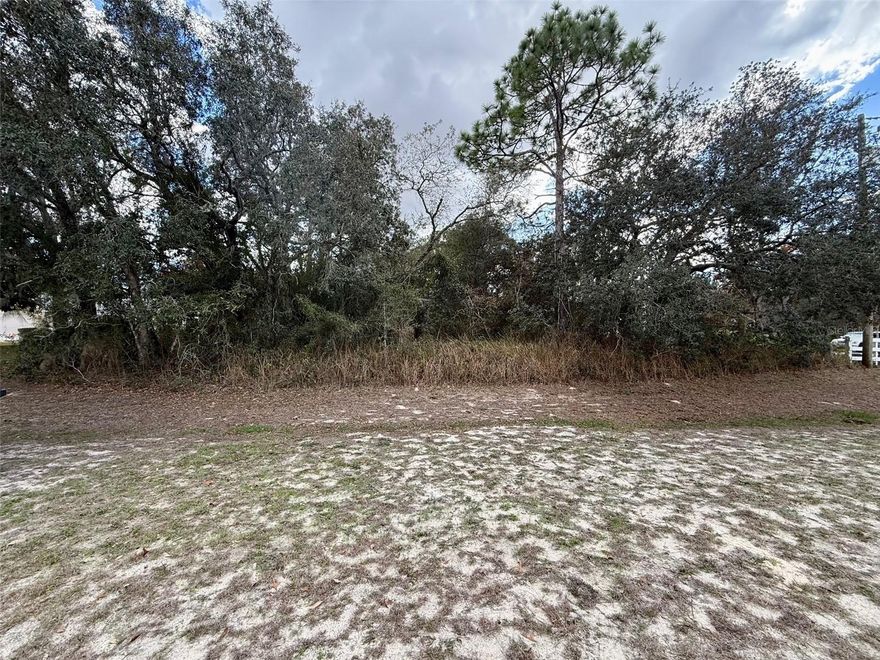 LOOKING TO BUILD YOUR DREAM HOME?? Look no further! This property offers a fantastic location only 1 mile from US 19/Commercial Way for an easy commute, but away from the hustle & bustle! With a short drive, you can enjoy the outdoors including Weeki Wachee State Park, Buccaneer Bay, Weeki Wachee River, Homosassa, and ample boat ramps providing fishing & water sport activities.