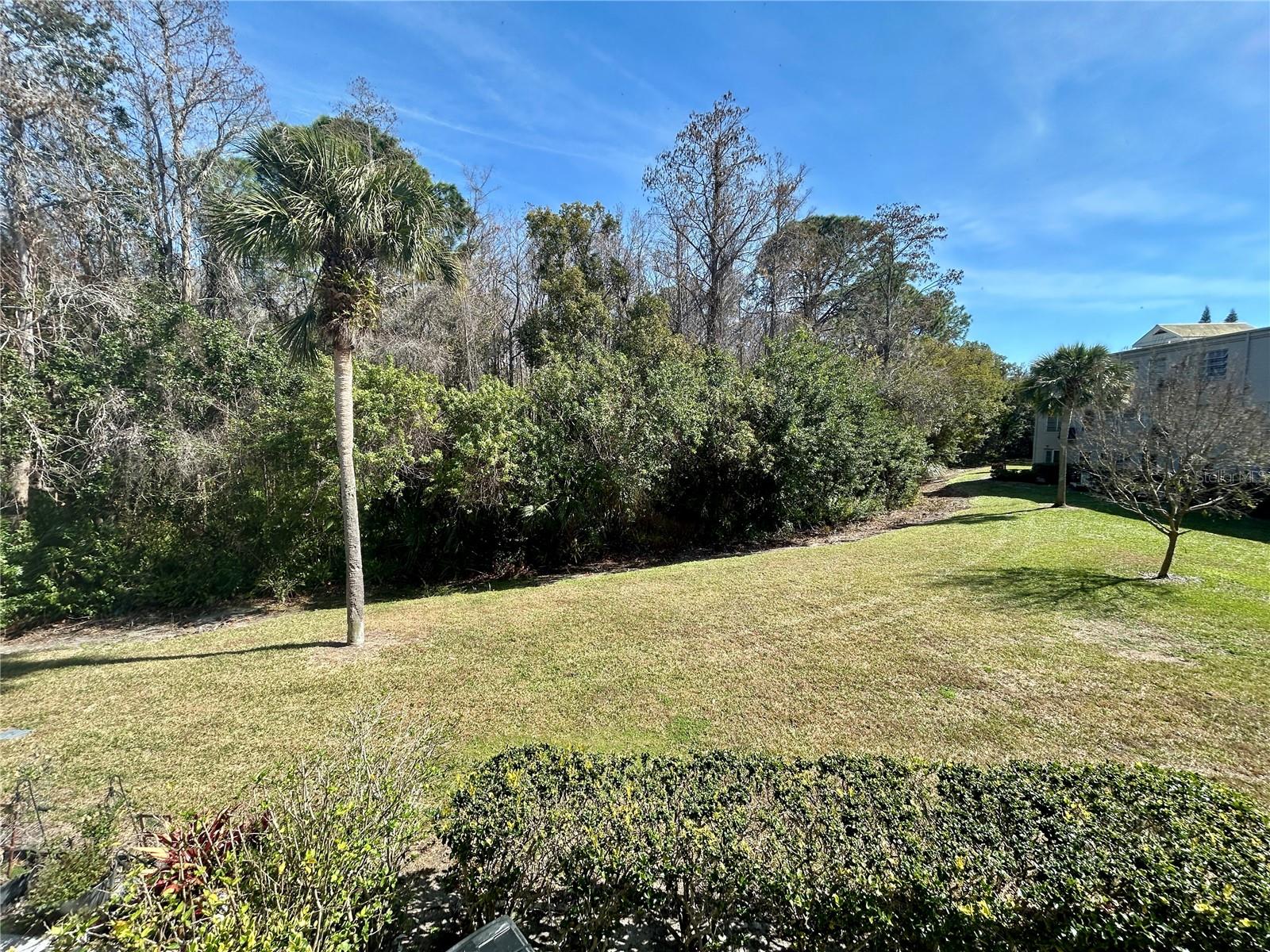 ON TOP OF THE WORLD - Residential