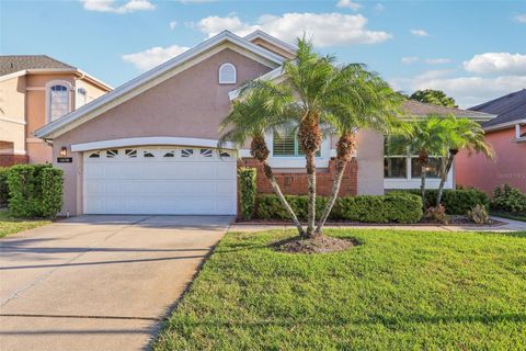 14336 DULCIMER COURT ORLANDO FL 32837